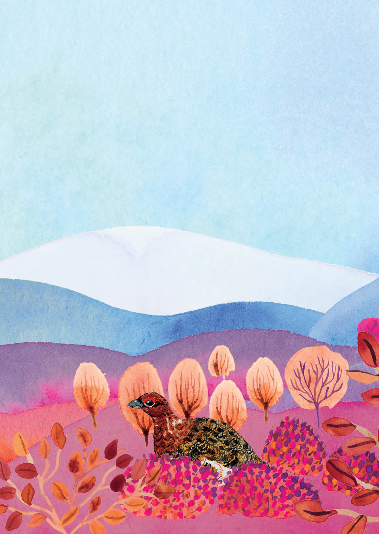 Lapin ylioppilaslehti kuvitus